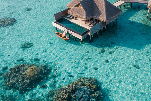 Honeymoon Packages